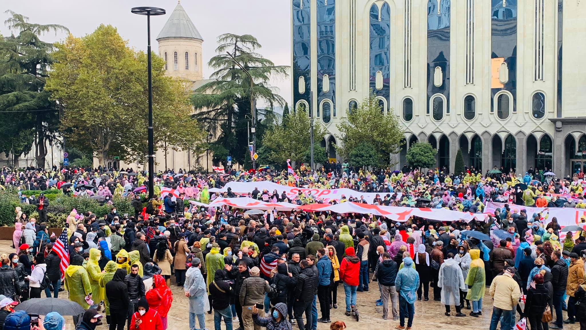 Партия национальное движение. Национальное движение Грузия. Единое национальное движение Грузии. Партия национальное движение Грузия. Современные национальные движения.