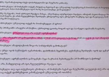 “შეგვეშინდა…” – რატომ გაყალბდა მეგი ბაქრაძის სამედიცინო ისტორია?