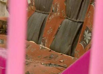 “7 წლის ბიჭზე სექსუალური ძალადობის შესახებ ყველამ იცის უბანში” – საზარელი დანაშაულის დეტალები