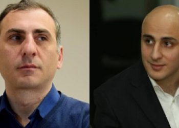 როგორ გააძვირა “მავნებელმა და გაჯიუტებულმა მელიამ” ბენზინის ფასი ციხიდან? – ალეკო ელისაშვილი