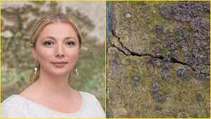 ვაშლიჯვრის ფერდობის მეწყერი შეჩერებული არ არის – თეა გოდოლაძე