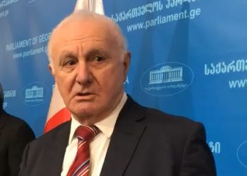 გამოვაცხადოთ საყოველთაო ამნისტია და და არ იქნება სასპეკულაციო – ფრიდონ ინჯია