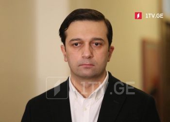 გახარიას გუნდი პოლიტიკურად გამოუცდელია – ლევან იოსელიანი