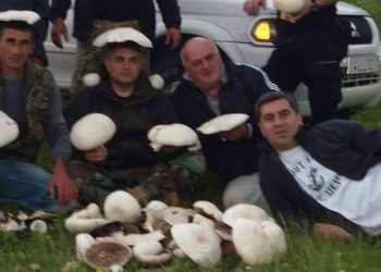 შევიტყე, რომ ვაშაძემ პოლიციელების ამინისტიის კანონს ხმა მისცა და …. – ირაკლი ოქრუაშვილი