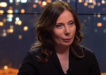 “მავნებელ იდიოტებად გთვლით…” – ვისზე წერს ნინო ჯანგირაშვილი