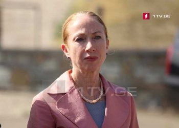 მნიშვნელოვანია, ხალხს სწორი ინფორმაცია მივაწოდოთ – აშშ-ის ელჩი