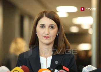 იუსტიციის სახლში დაცვის თანამშრომელმა მოქალაქე სცემა – სახელმწიფო ინსპექტორი