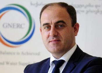 სიმწრით მოგროვილ ლარებს ელ.ენერგიის იმპორტში ვიხდით – ნარმანია