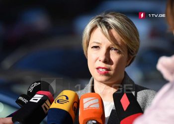 სახალხო დამცველი ციხეში, ნიკა მელიასთან შევიდა