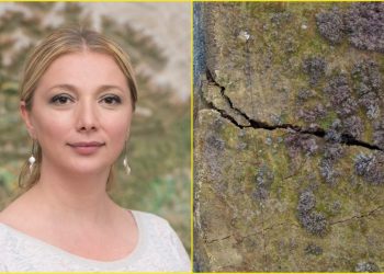 მეწყრის შეჩერება შეუძლებელია, ვიღაცამ უნდა უთხრას ეს მერსაც და მის მოადგილესაც – თეა გოდოლაძე