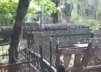 გადააქვთ, თუ არა, ცხედრები რიონის ხეობიდან? – “რა უფლებით ავრცელებენ ვიდეობს და არასწორ ინფორმაციას”