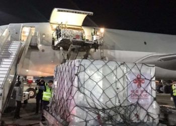 ჩინეთის ნაჩუქარი „სინოვაკის“ ვაქცინა საქართველოშია