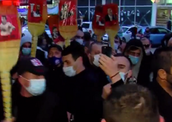 “ოცნების” წევრები, საჯარო უწყებების თანამშრომლები – ვინ მონაწილეობდა “ცოცხების აქციაში”