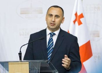 დღეს პარლამენტში ანზორ ჩუბინიძეს მოუსმენენ