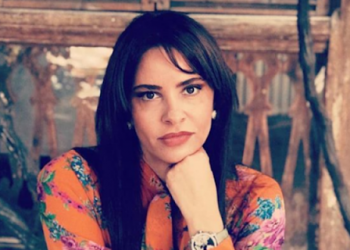 შემოუშვით ეს ოხრები და დახარჯონ აქ ფული, აღარ შემიძლია – ია ფარულავა