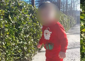 გარდაცვლილი 3 წლის ბავშვის შესახებ ახალი დეტალები ხდება ცნობილი