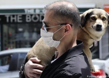 აღმოჩენილია კორონავირუსის ახალი ტიპი, რომელიც ძაღლიდან ადამიანზე გადადის