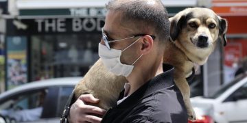 აღმოჩენილია კორონავირუსის ახალი ტიპი, რომელიც ძაღლიდან ადამიანზე გადადის