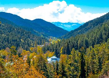 უფასო სარეაბილიტაციო კურსი აბასთუმანში კოვიდგადატანილებისთვის – დეტალები