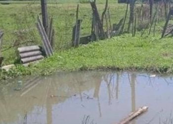 გარდაცვლილი 3 წლის გოგონას დედა მეექვსე შვილზეა ორსულად… – ტრაგედიის დეტალები