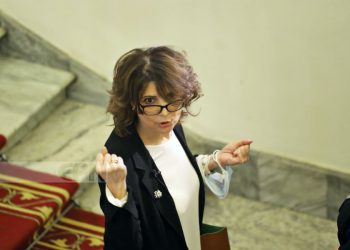 ძალიან სასაცილო თემაა ეს… – ელისო ბოლქვაძე