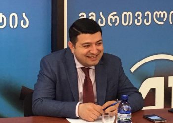 “იციან, მელია დამნაშავეა, ამიტომ გვთხოვენ ამნისტიის აქტის გამოცემას!” – დიტო სამხარაძე