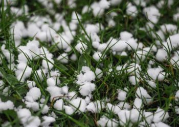 თეთრიწყაროში რამდენიმე სოფელი დაისეტყვა