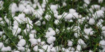 თეთრიწყაროში რამდენიმე სოფელი დაისეტყვა