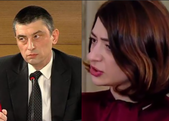 შეეხება, თუ არა, გიორგი გახარიას ამნისტია? – ანა ბუჩუკური