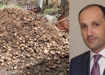 რატომ ულპებათ ახალქალაქში კარტოფილი, რამდენ თეთრს სთავაზობენ კილოგრამში და რას ამბობს მინისტრი?