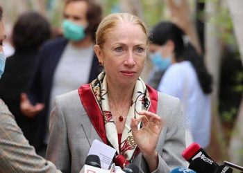 კელი დეგნანი „ნამახვანჰესის“ საწინააღმდეგო აქციას გამოეხმაურა – განცხადება