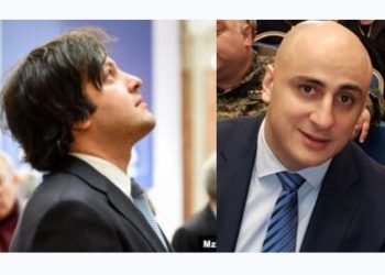 მელია შეზღუდული ინტელექტუალური შესაძლებლობების მქონე პოლიტკრიმინალია – კობახიძე