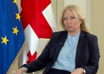 მესამე ტალღას რომ გადავლახავთ, მერე მოვხსნით შეზღუდვებს – ნათია თურნავა