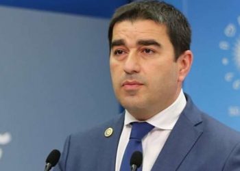 როდესაც საკუთარ ქვეყანას სტრასბურგში უჩივი და გამბედაობაც არ გყოფნის…. – პაპუაშვილი