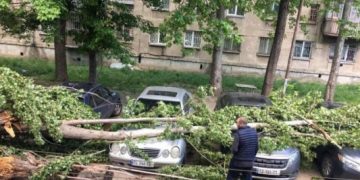 თბილისში ხე წაიქცა და მანქანებს დაეცა