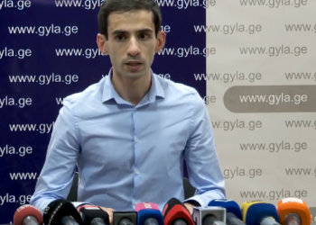 დავეხმარეთ მედიატორს იმაში, რომ ეს თანხა მისულიყო ბიუჯეტამდე – საიას განმარტება მელიას გირაოზე