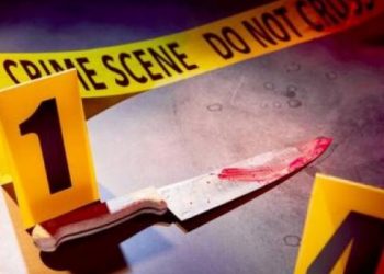 მოსკოვის ოლქში კაცმა ცოლი და ორი შვილი მოკლა