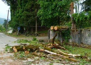 მოგლეჯილი ხეები და დაწყვეტილი ელექტროგადამცემი ხაზები – სტიქია ლანჩხუთში