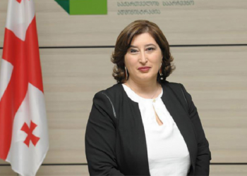 ვინ ჩაატარებს არჩევნებს? – “თამარ ჟვანია არჩევნებს ვერ ჩაატარებს” – ბადრი ჯაფარიძე