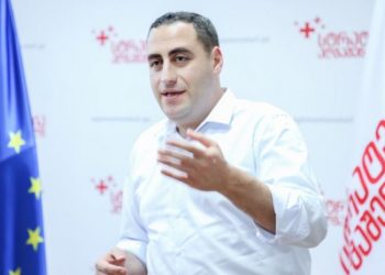 ენმ-ს ერთი ადგილი ეყოს და საკუთარი თავმჯდომარე პატიმრობისგან დაიხსნას – ვაშაძე