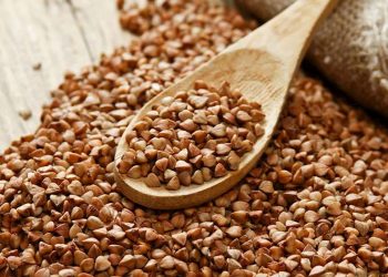 რუსეთმა წიწიბურას ექსპორტი დროებით აკრძალა