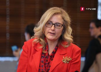 პროტესტის უფლებას თან ახლავს პასუხისმგებლობა – თურქეთის ელჩის განცხადება