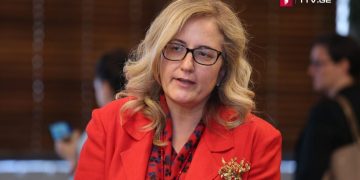 პროტესტის უფლებას თან ახლავს პასუხისმგებლობა – თურქეთის ელჩის განცხადება