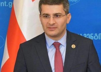 ,,საინტერესო წრე იკვრება!” – მამუკა მდინარაძე