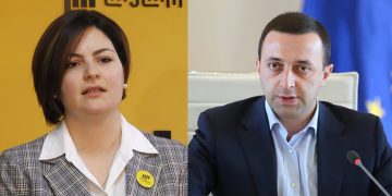 ვერვინ აიძულებდა მოსახლეობას ამ ჯარიმების გადახდას – მიზანი მოსახლეობის გულის მოგებაა – ანა ნაცვლიშვილი