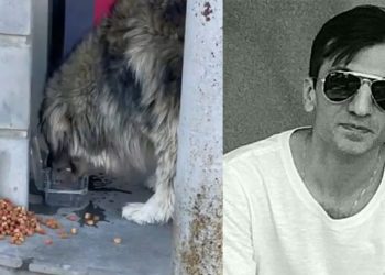 „მომაკვდავმა, თავადვე დაგეგმა გასვენება… აღარ ვარ უსუსური, დედა! გაპატიე ყველა შენი ერთით მეტი კოცნა დათოსთვის!” – მანანა დოიაშვილის ემოციური წერილი დედას