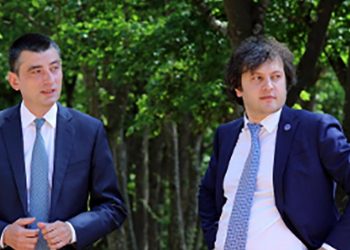 შემიძლია დეტალებიც გაგიმხილოთ… – რას ჰყვება კობახიძე გახარიაზე?