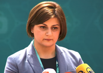 წლის ბოლომდე კოჯრის ბავშვთა სახლი დაიხურება – ჯანდაცვის სამინისტრო