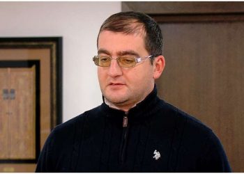 ცოტნე გამსახურდია საქართველოში დაბრუნდა