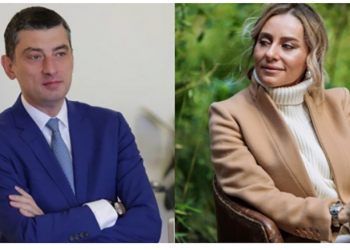 არა, გიორგი, ეს იდეა თქვენი არ იყო – ეკონომიკის მინისტრის ყოფილი მოადგილე